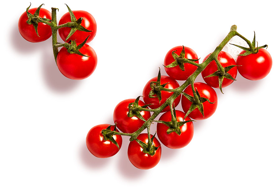 Cherry tomatoes on the vine on a white backdrop.