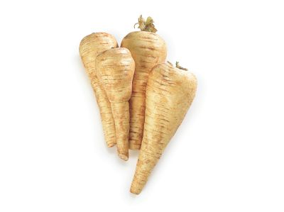 Bunch of raw, skin-on parsnips on a white countertop.