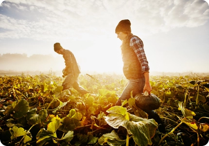 Your guide to 6 of Canadaâ€™s favourite fall vegetables