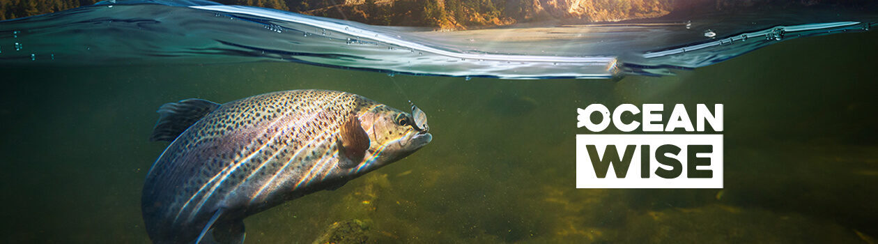 Seafood sustainability at safeway